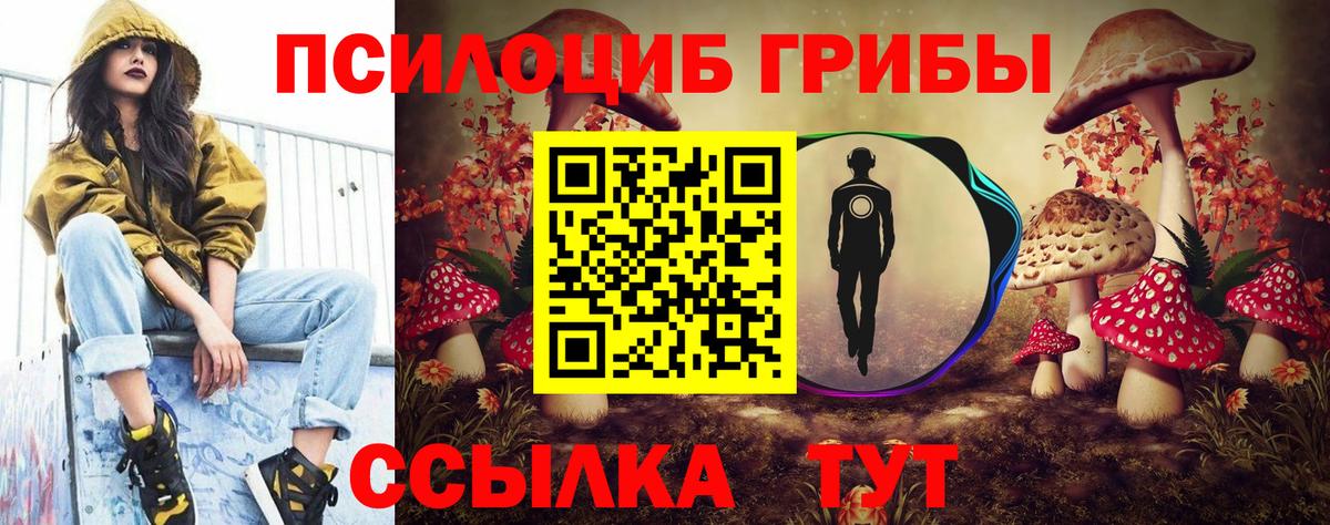 Псилоцибиновые грибы ЛСД Георгиевск